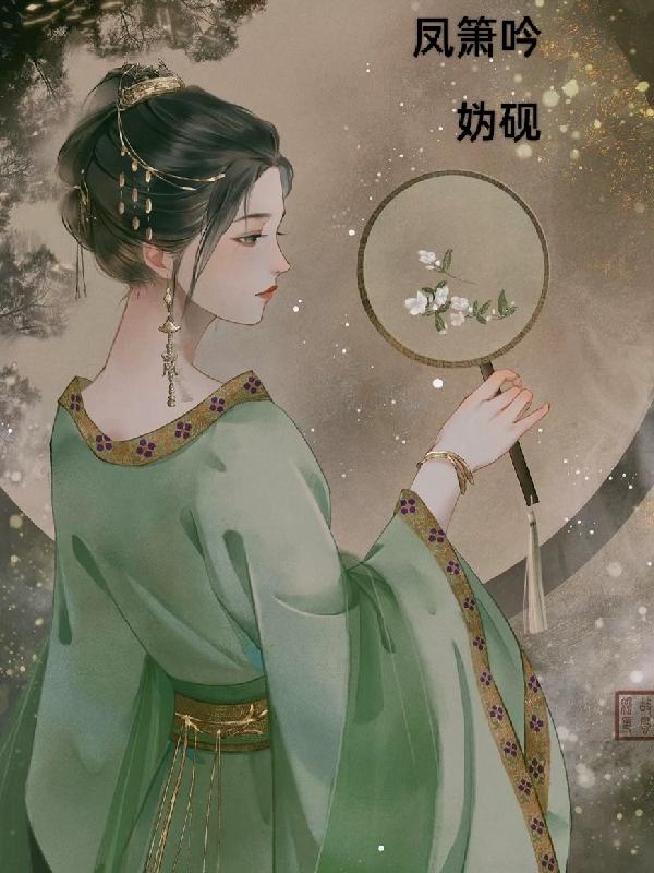 凤箫吟小说